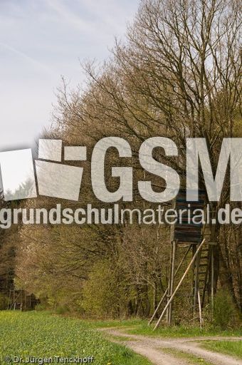 Hochstände (74 von 154).jpg